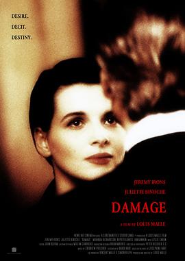 烈火情人 Damage(1992)